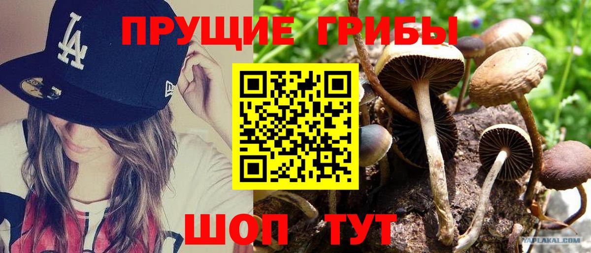 Галлюциногенные грибы ЛСД  Галлюциногенные грибы мицелий  Ярцево  Вход с VPN 