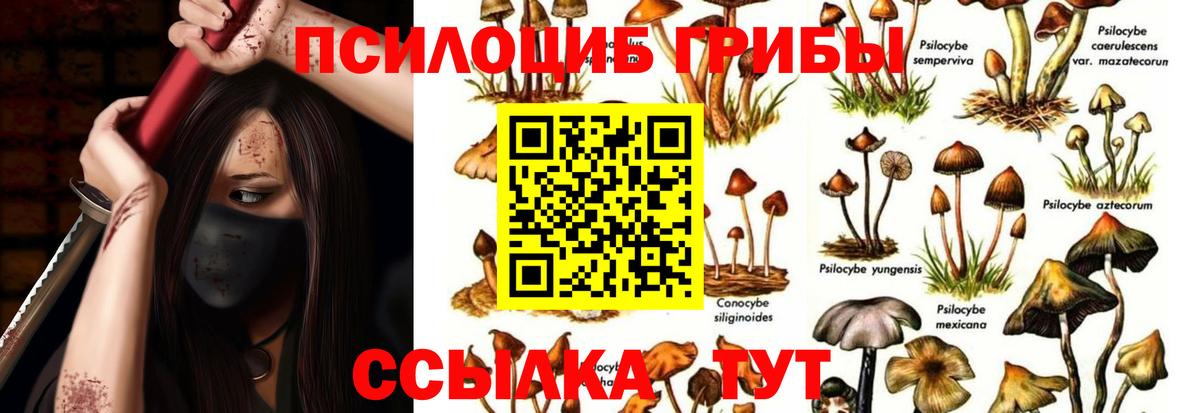 Галлюциногенные грибы Cubensis Ярцево